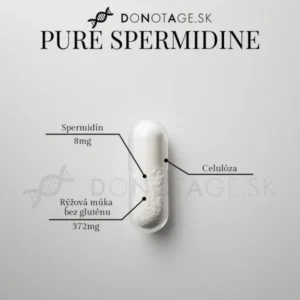 Spermidín