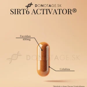 SIRT6 Aktivator
